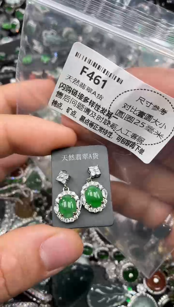 颈饰未镶嵌翡翠F461耳钉