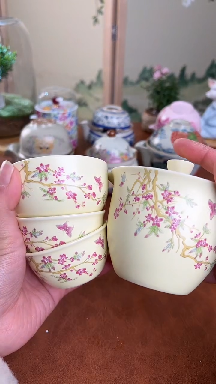 【闪购商品】老实人茶具铺快客