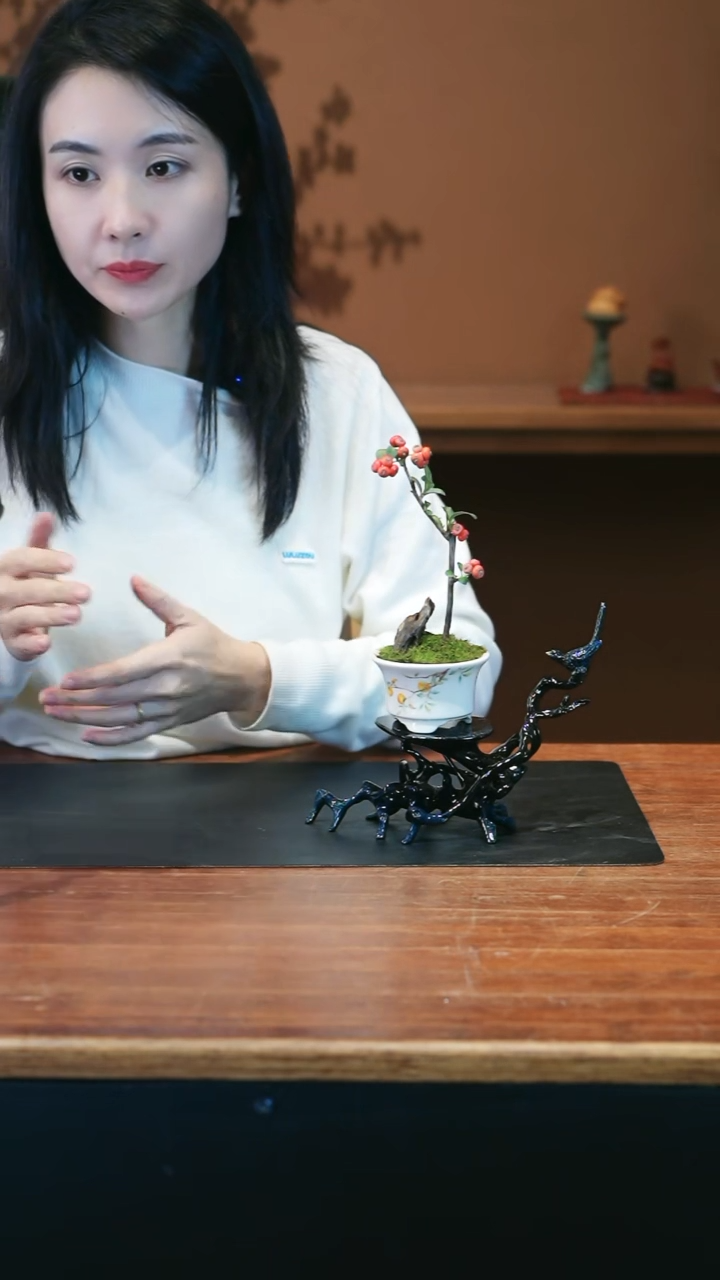 全部花朵火棘盆景盆景盆景