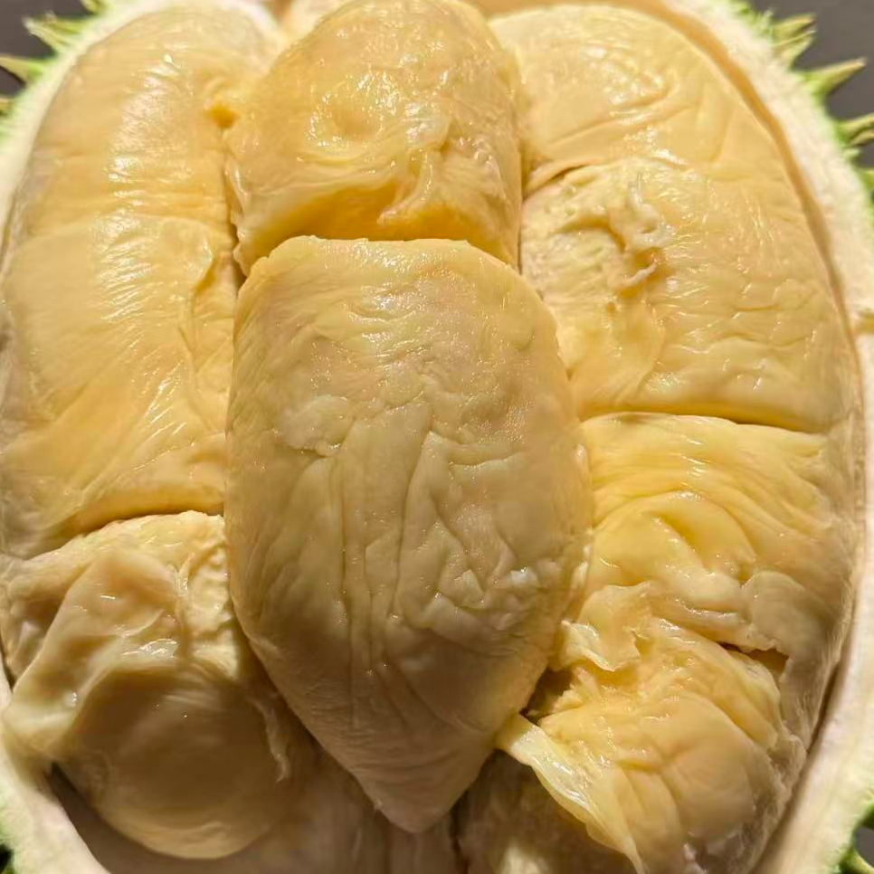 马来西亚【山顶XO】新鲜榴莲/一果一拍/核大/两斤以上XO马来西亚