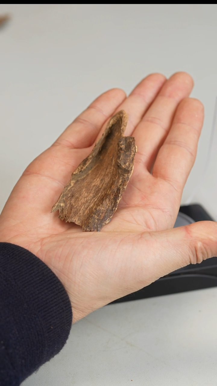 沉香沉香碎屑海南霸王岭2.9g