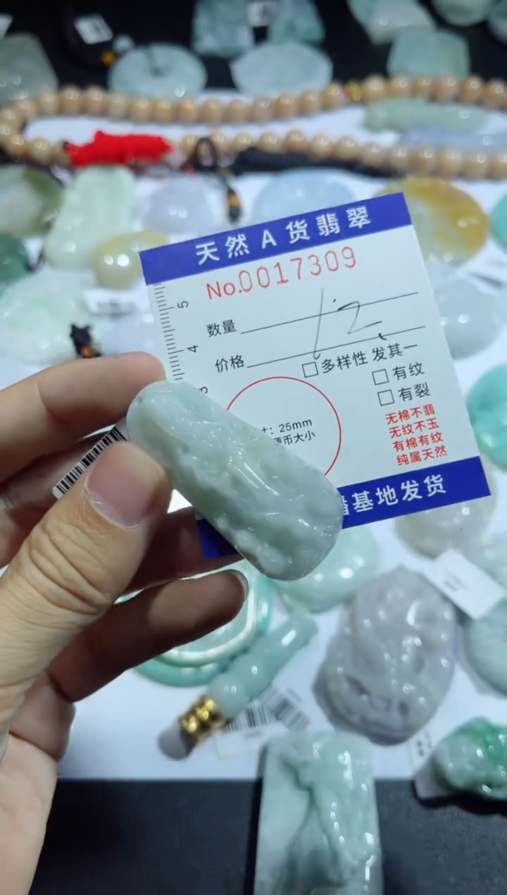 【闪购商品】翡翠颈饰未镶嵌00017309