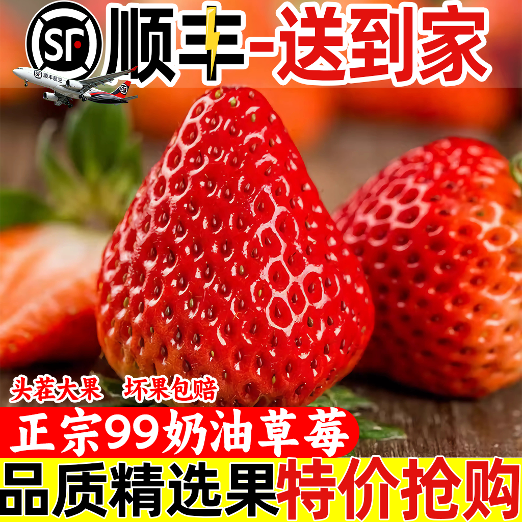 【顺丰快递】大凉山草莓99新鲜现摘应季水果顺丰包邮孕妇可食非丹东