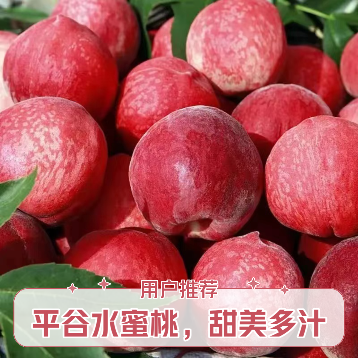 [净重6斤]平谷本地水蜜桃现摘 桃子同城送北京市