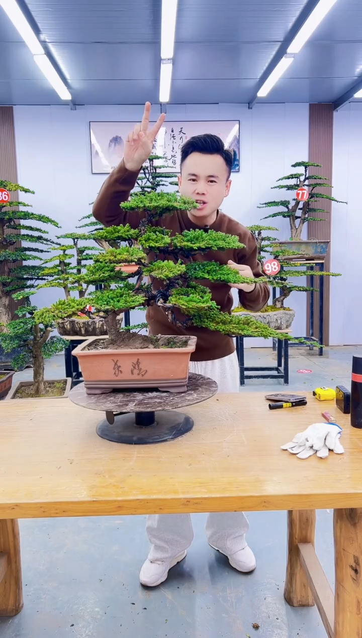 无花朵00000000000000