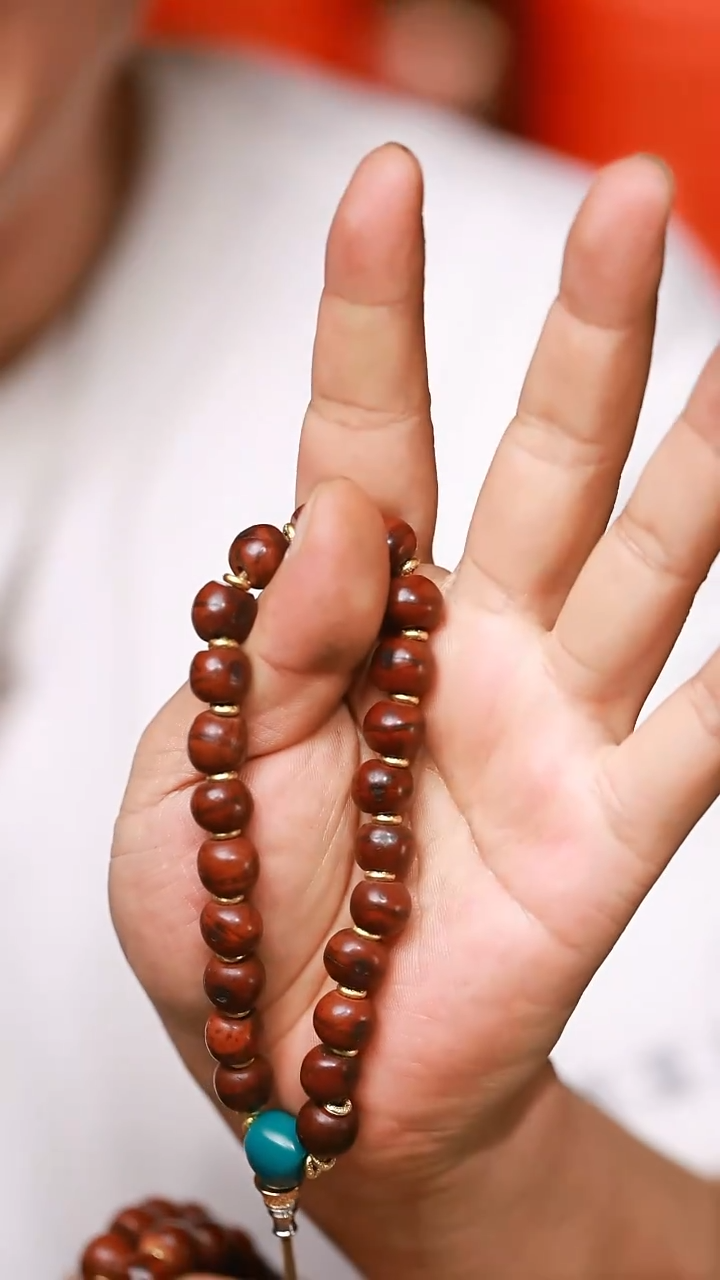 老凤眼（多样性发货，发其一）