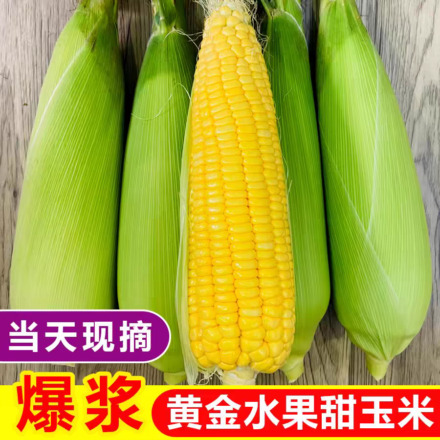 【顺丰京东】本地黄色水果玉米5/9斤带壳纸箱装浙江省江苏上海安徽水果玉米上海市