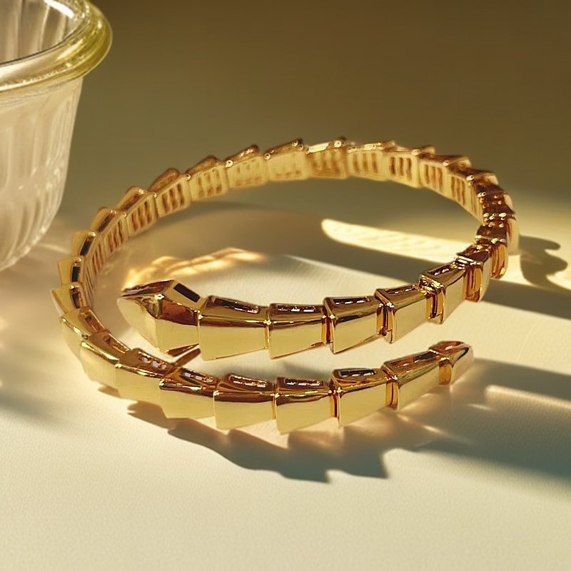 Y-6051  时尚5G工艺蛇形手镯   + 专柜礼盒