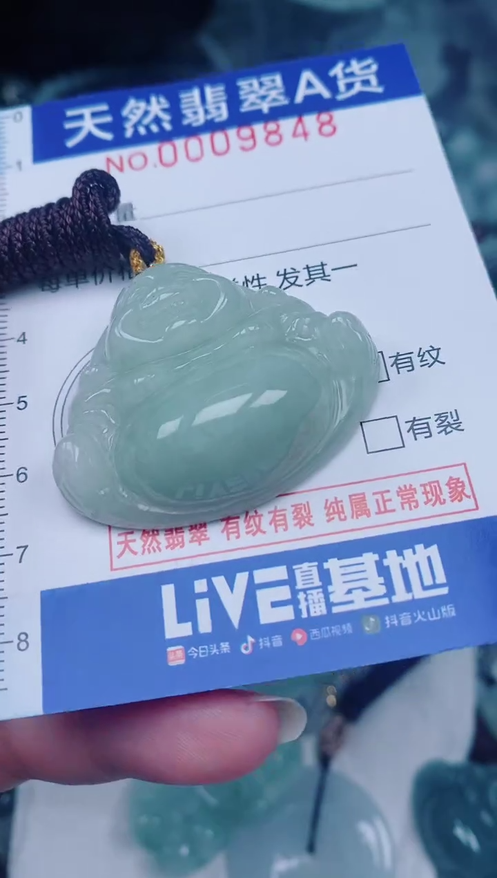 颈饰未镶嵌翡翠00009848