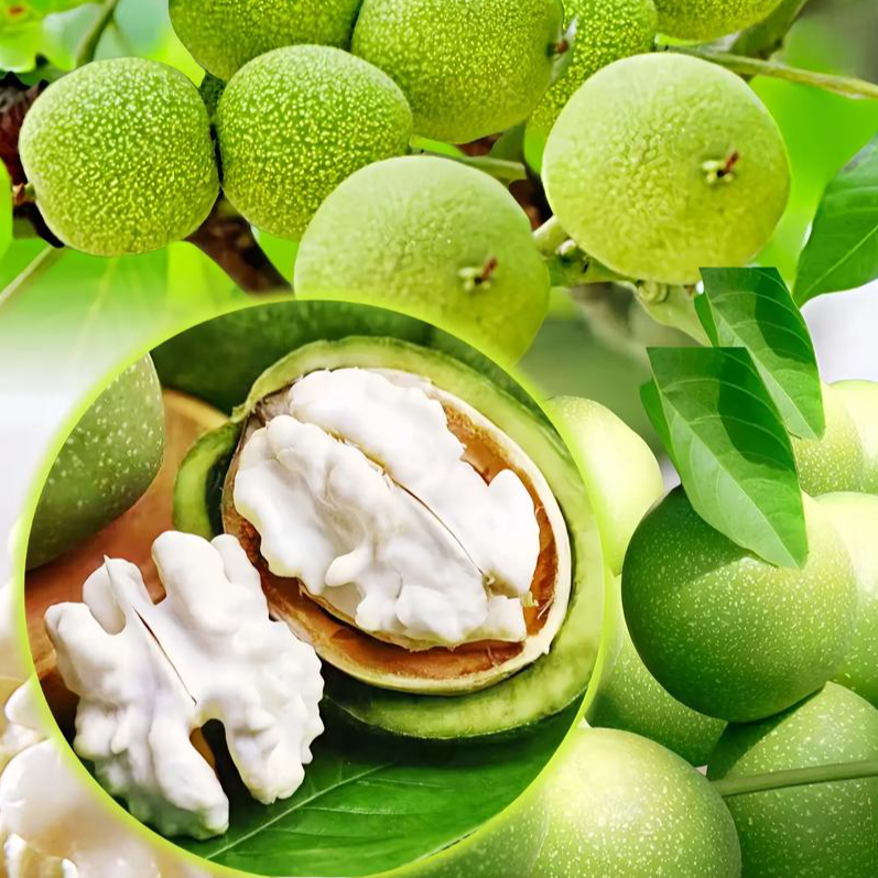 【带青皮】A大凉山新鲜核桃高山老树生核桃1/5/8斤孕妈水果