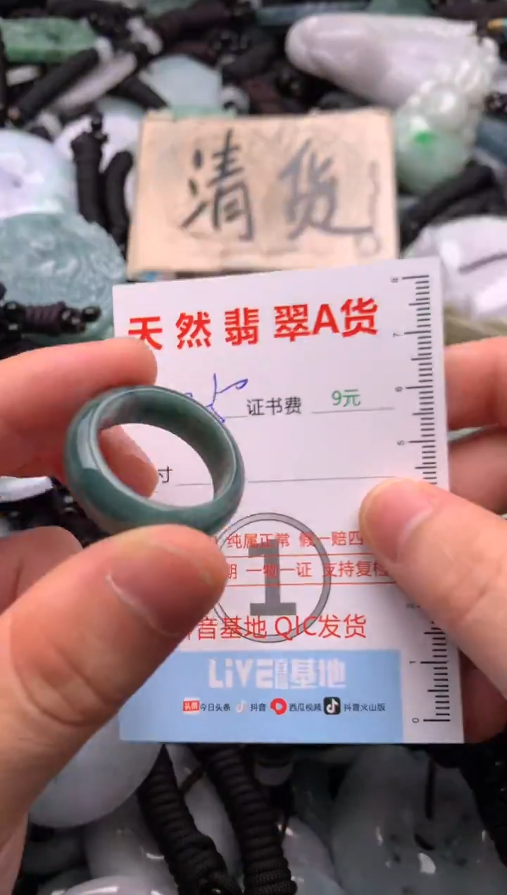 翡翠未镶嵌吊坠(不含链)1