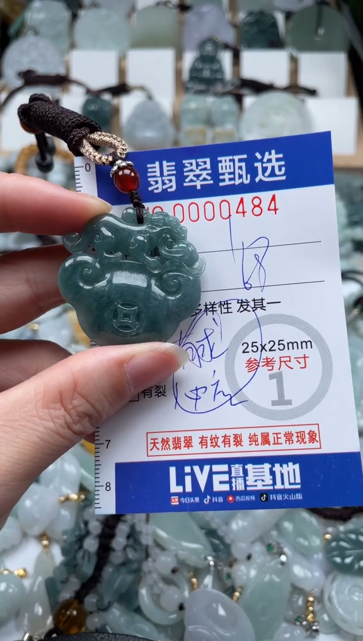 翡翠未镶嵌颈饰00..0484