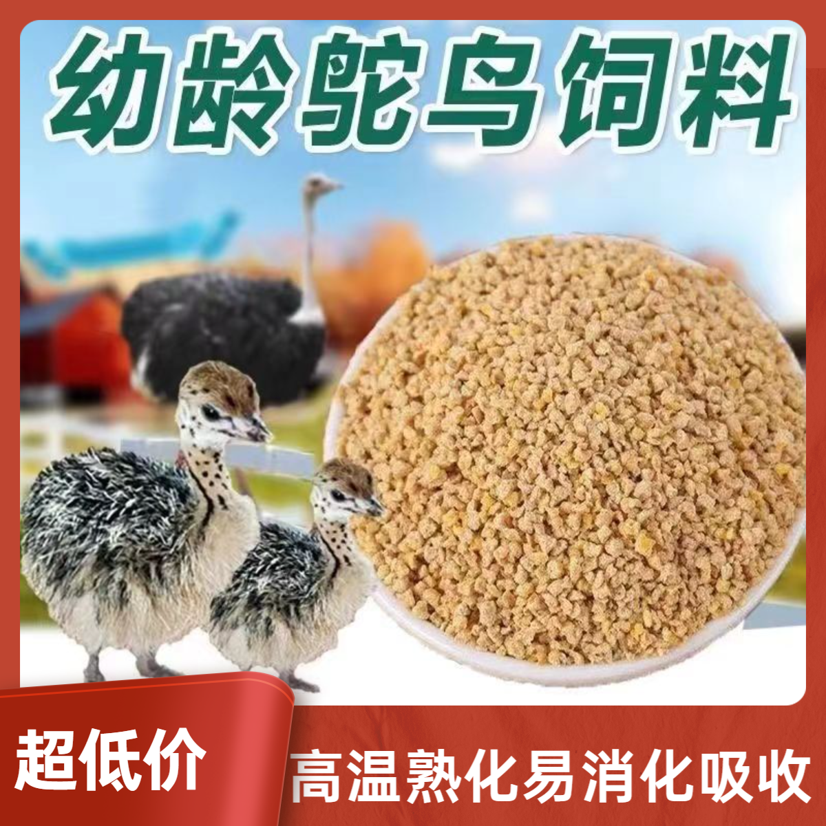 幼龄鸵鸟熟化饲料高温熟化易消化吸收营养全厂价批发小鸵鸟家禽料