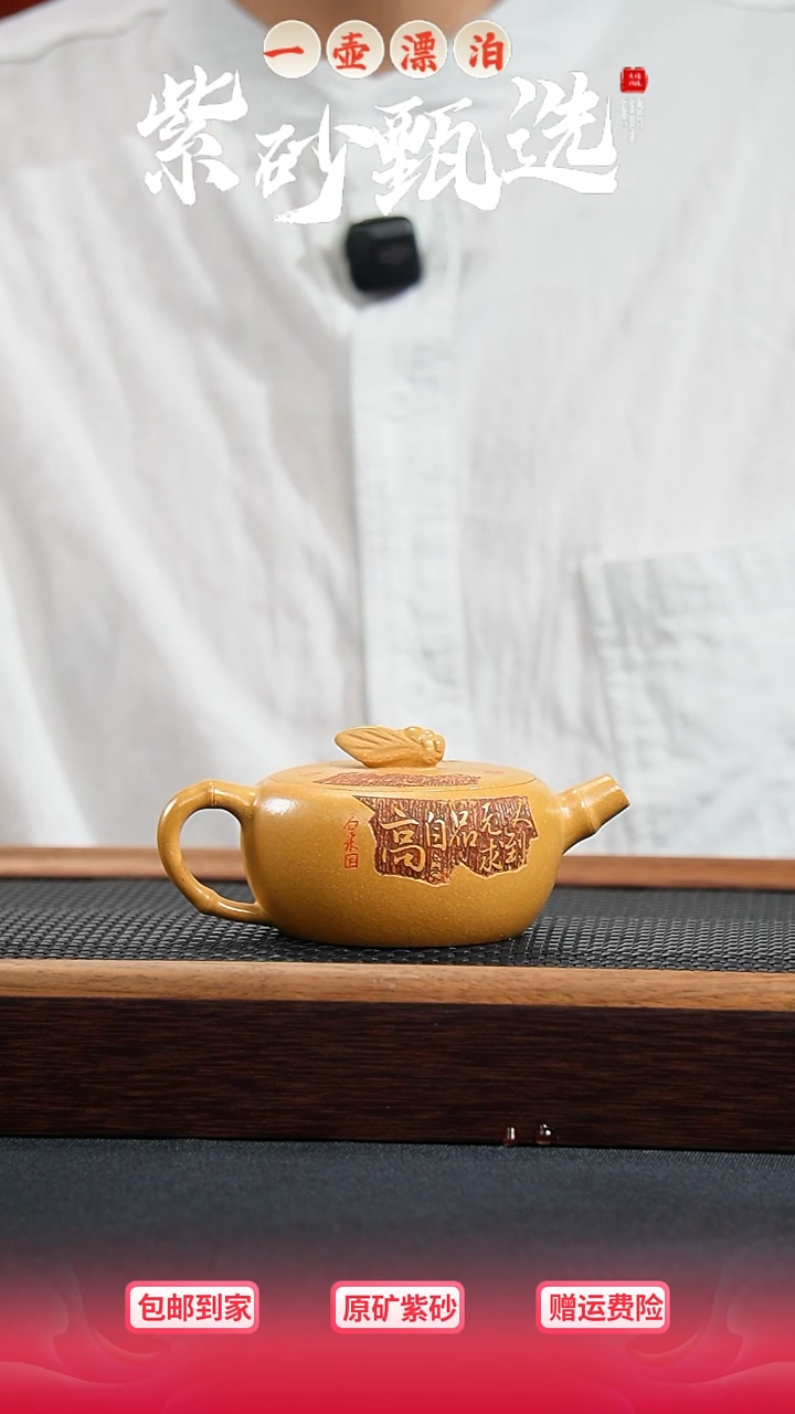 茶壶紫砂一壶漂泊紫砂壶