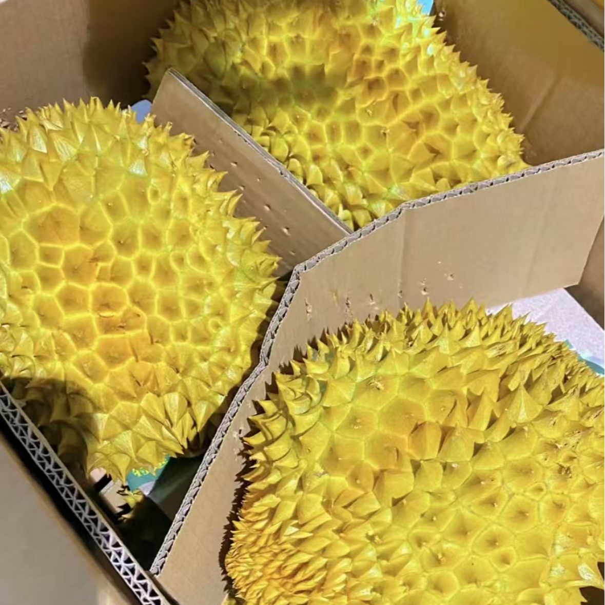 【纯肉】泰国金枕树熟鲜榴莲 核小 2斤金枕泰国