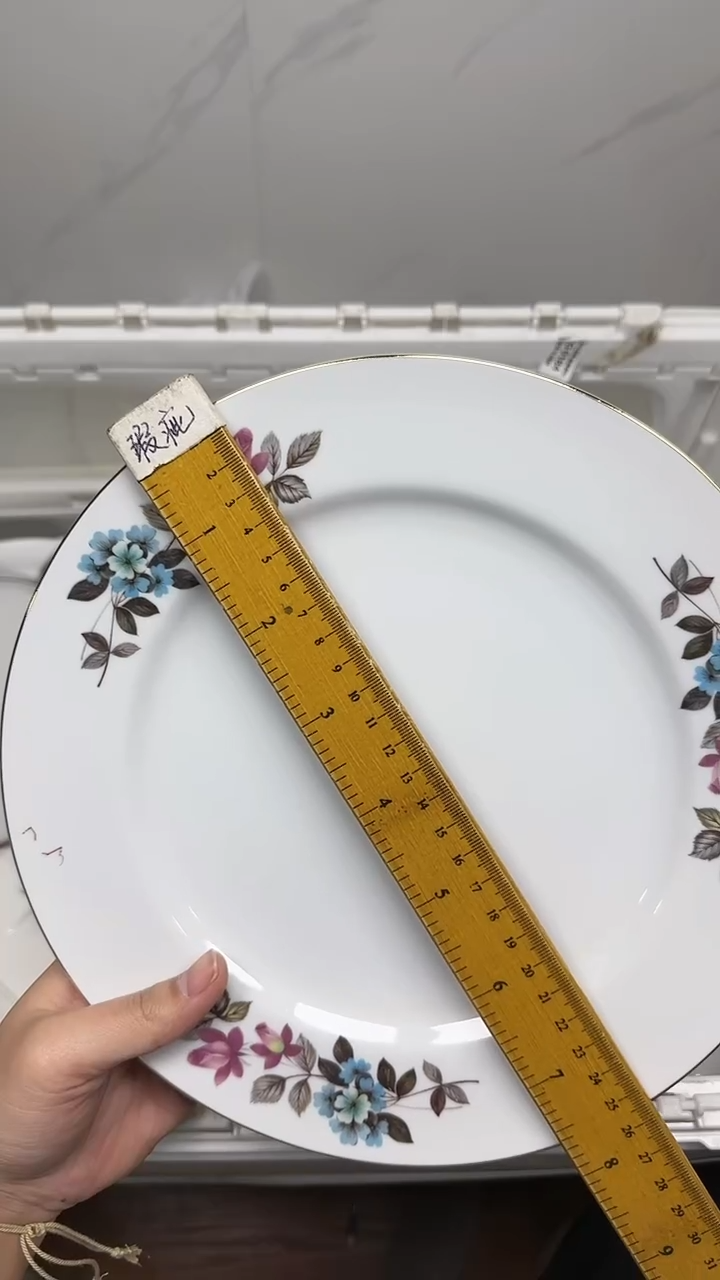 【闪购商品】5793回流瓷器默认微瑕，18.8包邮