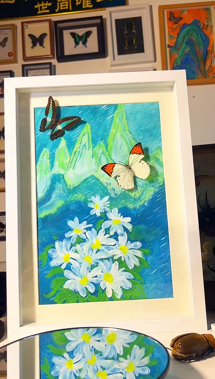 有机玻璃354657576865