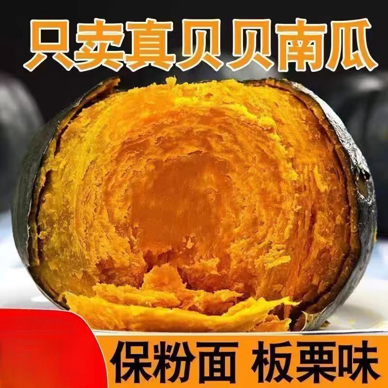 新鲜正宗贝贝南瓜板栗味小南瓜老栗面宝宝辅食香甜可口