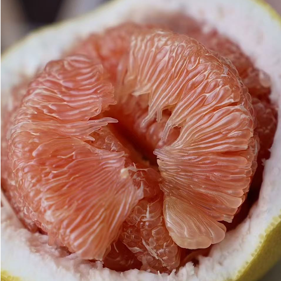 顺丰 有木几马家柚2/4颗装皮超厚 肉很少 但是超好吃  江浙沪皖