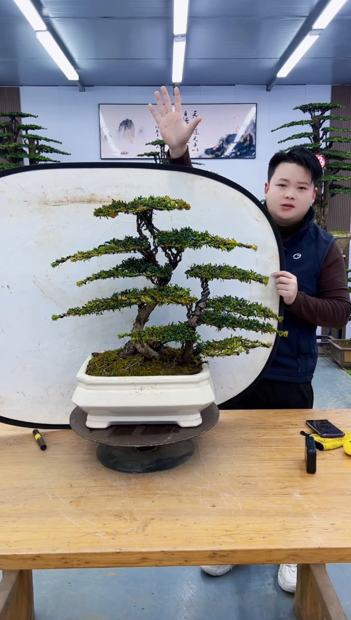 以实际为准0000000