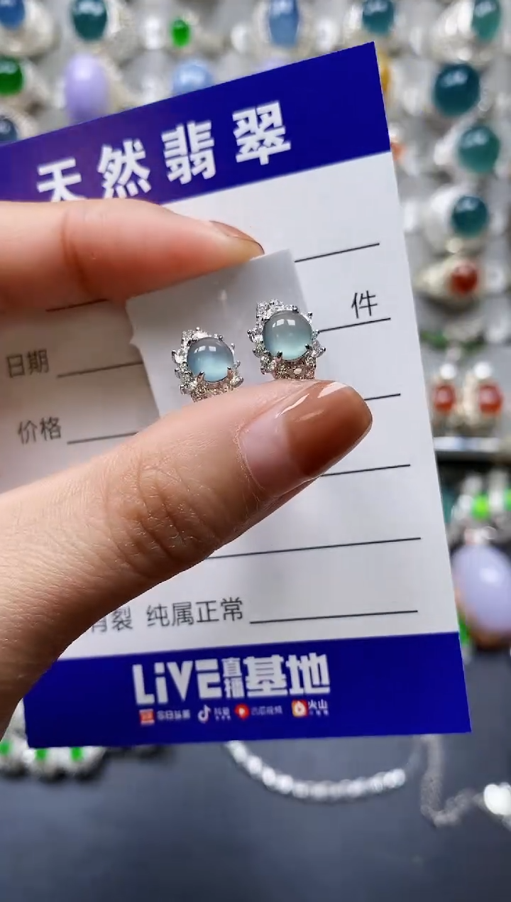 【闪购商品】翡翠耳饰银S925镶嵌0313