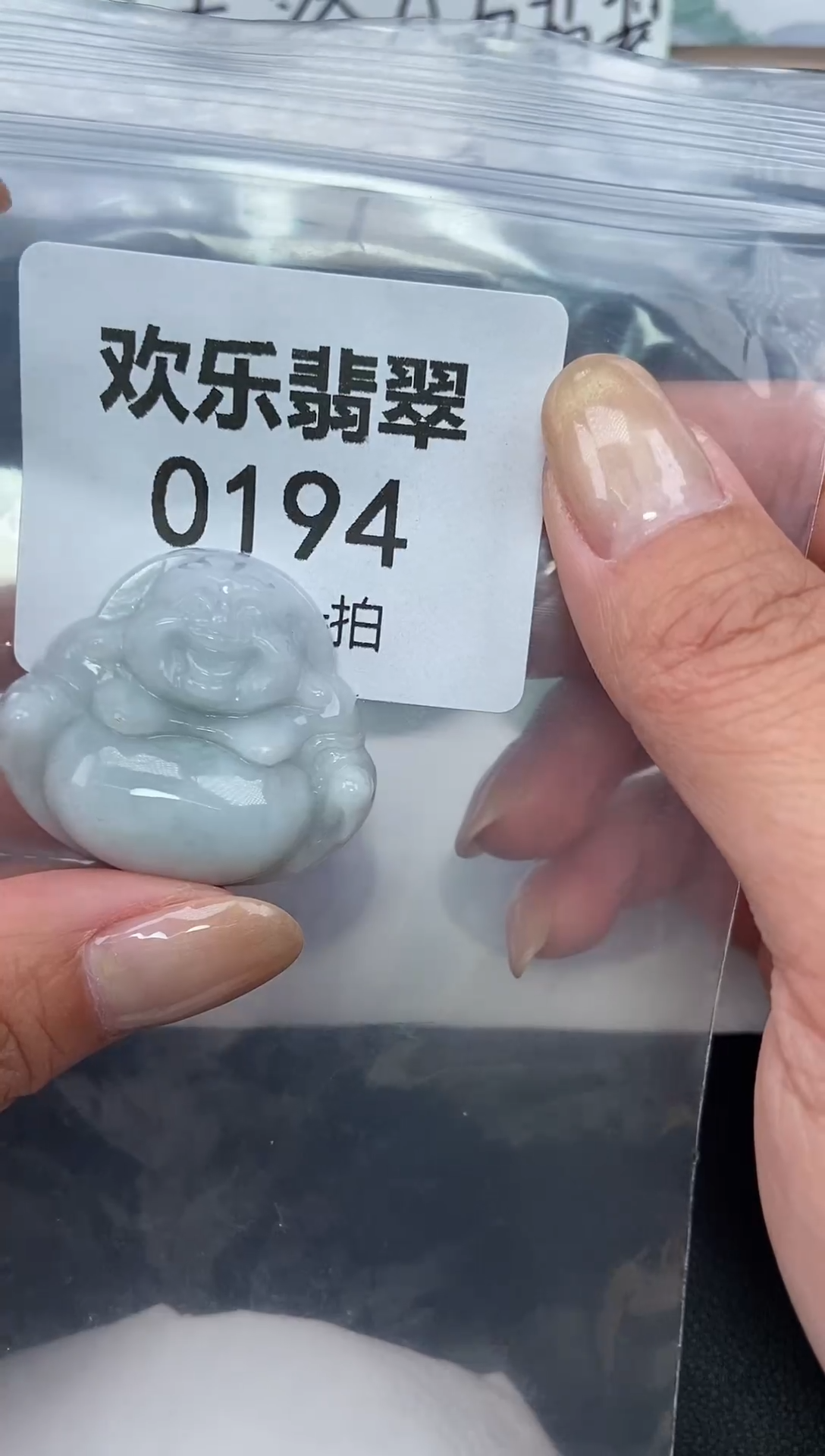 颈饰未镶嵌翡翠缅甸天然翡翠0194