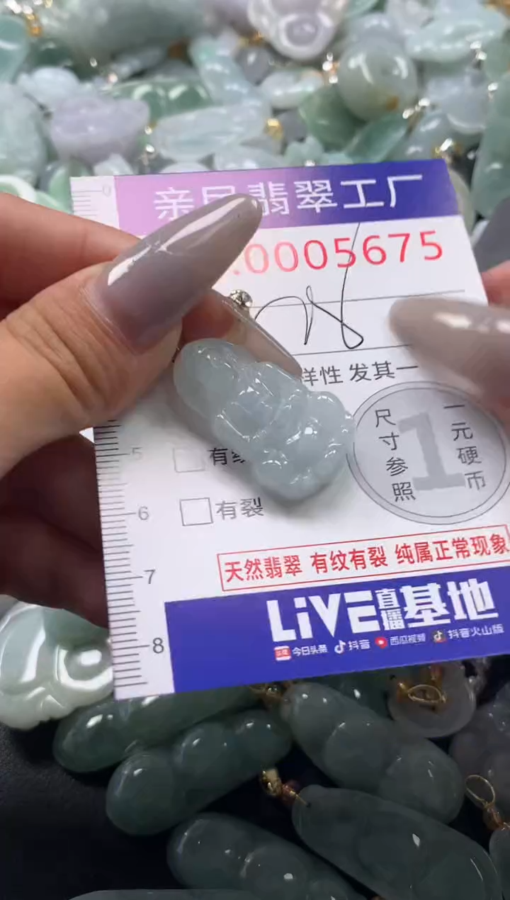 颈饰未镶嵌翡翠5675