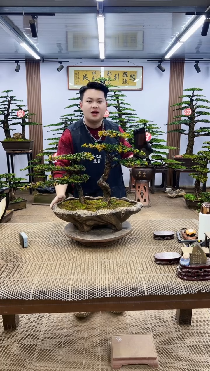 【闪购商品】0000000000