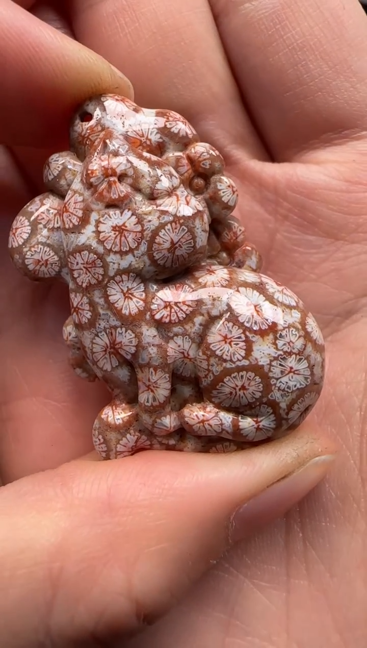 【闪购商品】硅化珊瑚（珊瑚玉）颈饰未镶嵌439