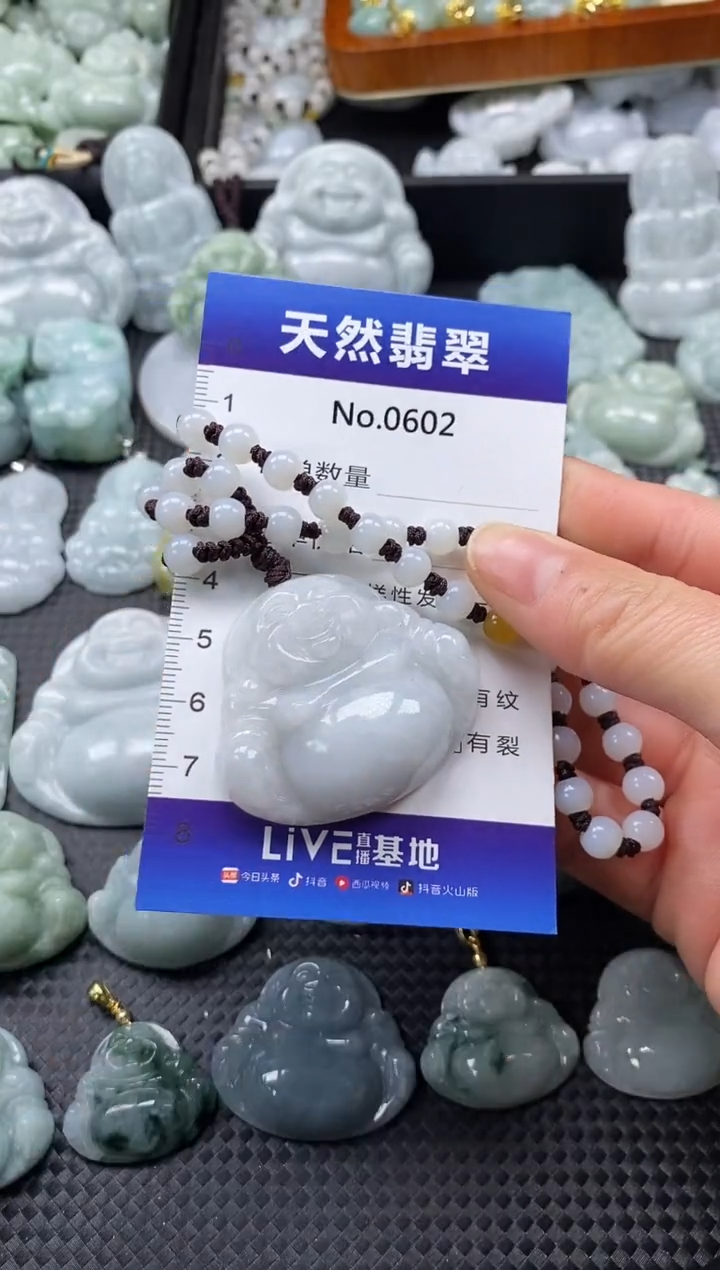 【闪购商品】翡翠颈饰未镶嵌缅甸A货翡翠0602