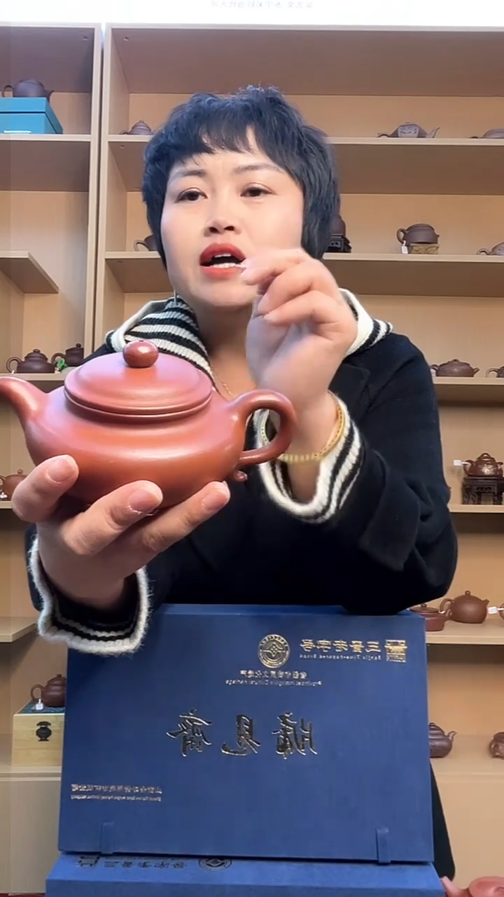 【闪购商品】紫砂紫砂壶紫砂壶仿古240毫升