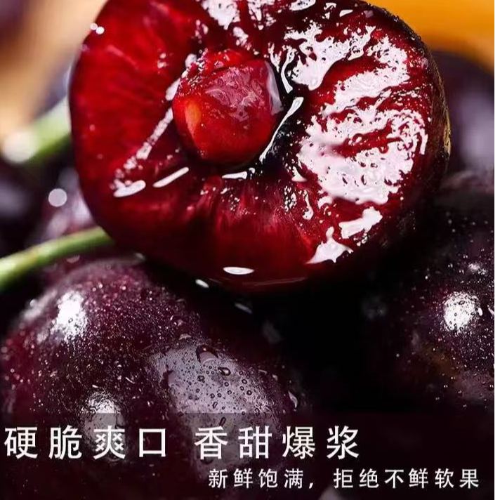 【桑提娜5JD】智利海运大黑车净果5斤内附果径卡顺丰次日达桑提娜樱桃智利共和国