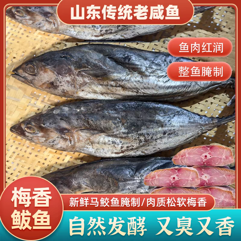 梅香花鲅咸鱼正宗臭咸鱼霉香鱼马鲛鱼茄子煲花鲅鱼海产品干货鱼干
