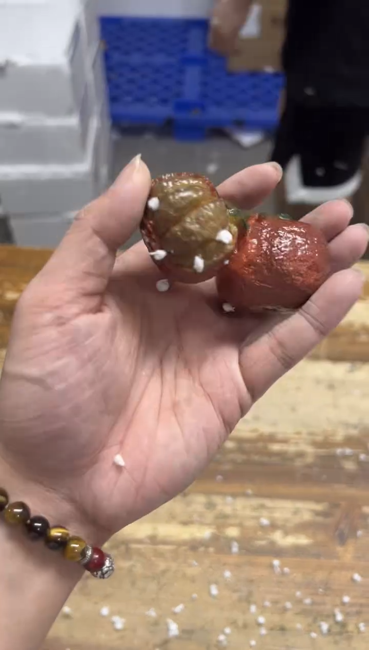 瓷片【闪购商品】------