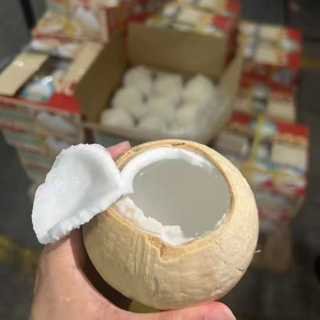 泰国椰皇（单点不送）