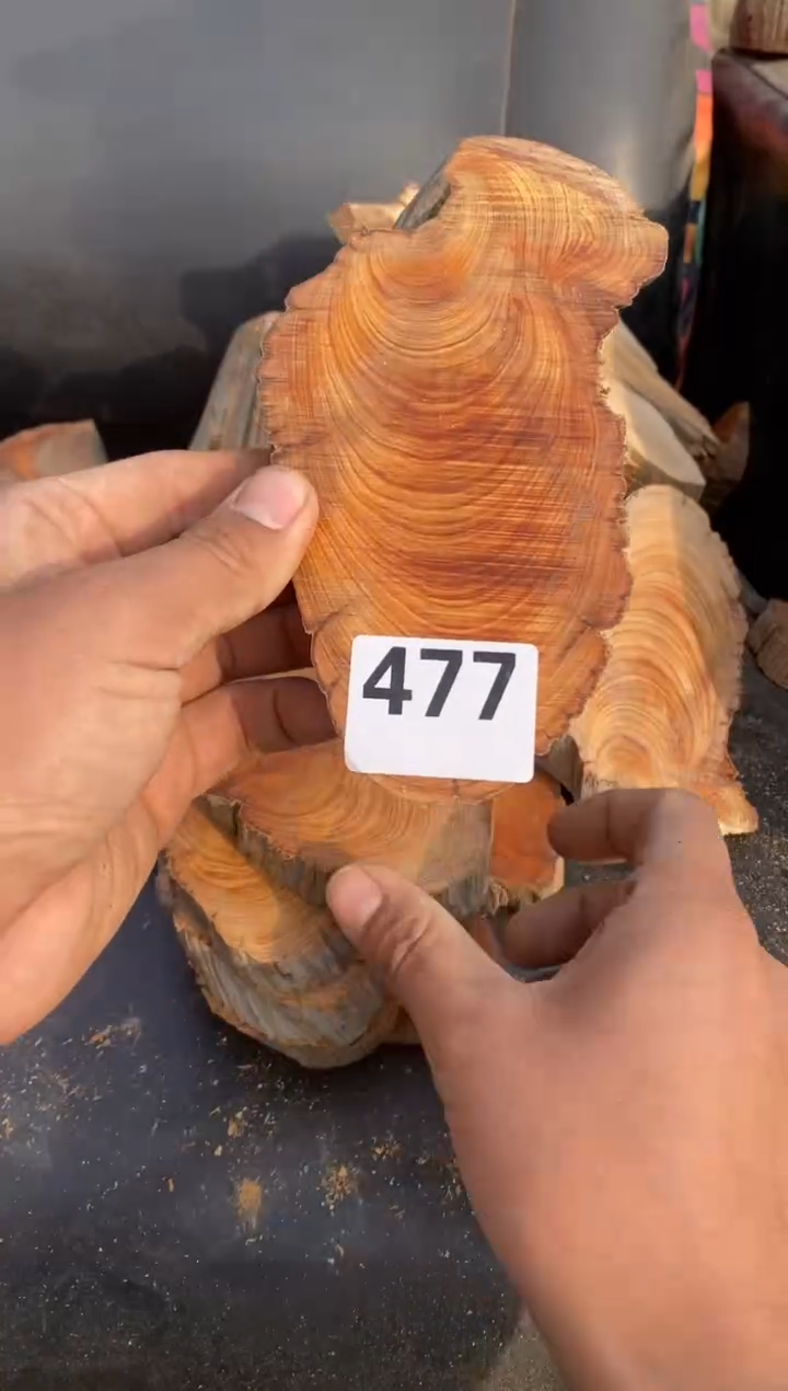 柏木（崖柏）太行陈化崖柏切片！随机（1单1片）477