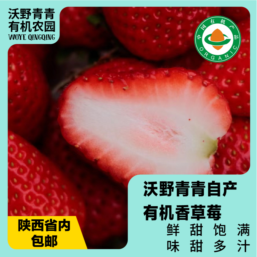 沃野青青香草莓 有机草莓 果肉紧实 口感香甜 果香四溢 唇齿留香