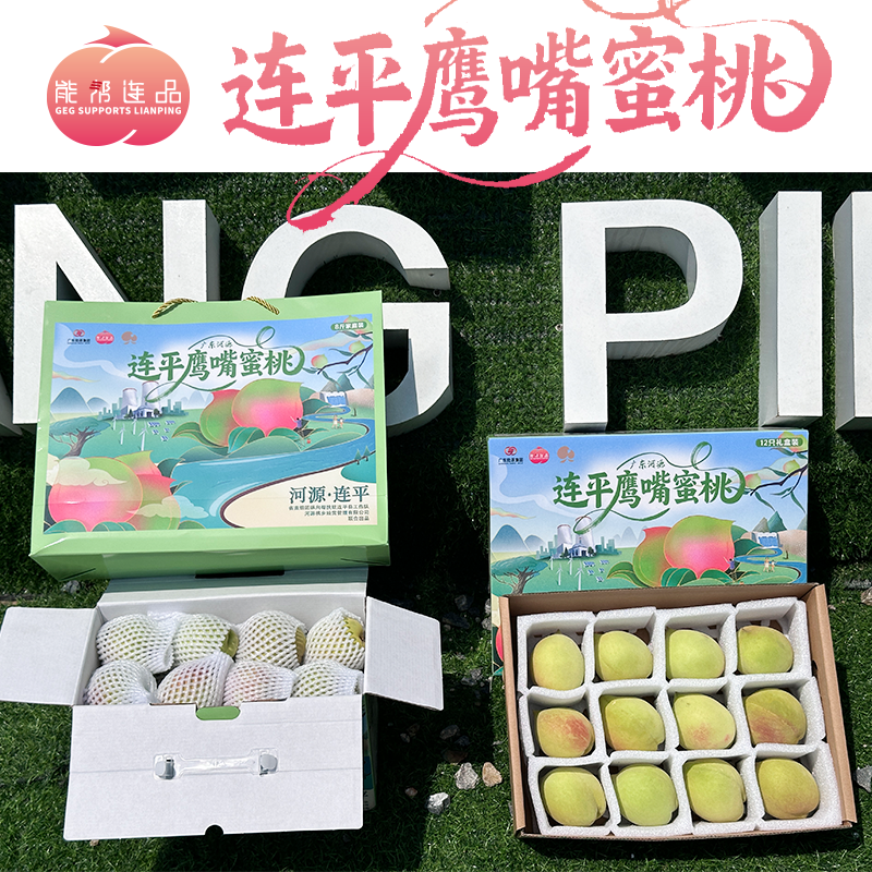 正宗连平县鹰嘴蜜桃桃新鲜现摘当季水果脆甜多汁