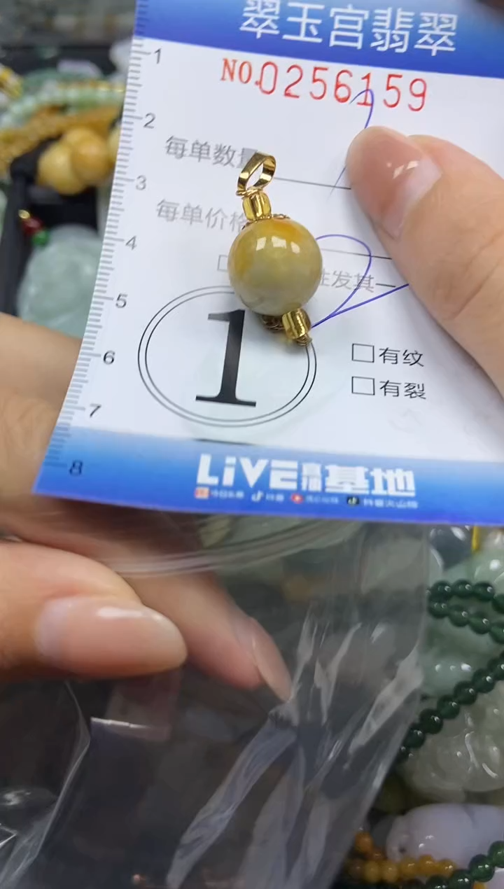 颈饰未镶嵌翡翠闪购C0256159