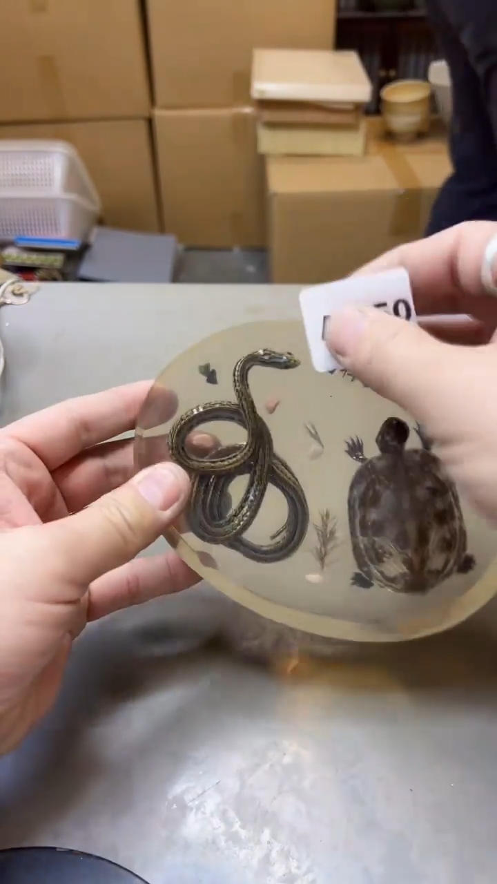 【闪购商品】瓷片650聚宝缘海淘精选