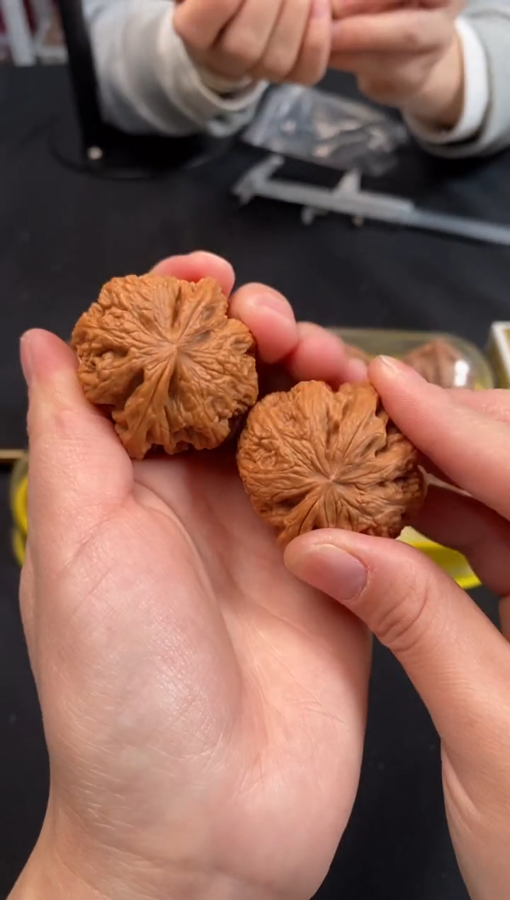 把件文玩核桃大粗筋40尺Z221