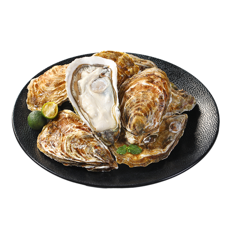 优赐鲜活乳山生蚝1.4KG-1.5KG/箱（8粒以内）