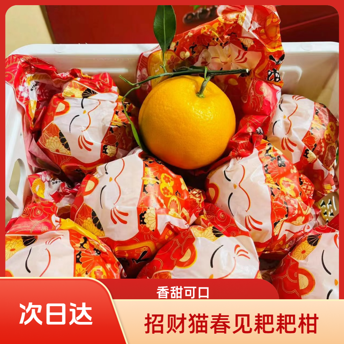 【次日达】春见耙耙柑 甘甜爽口 果肉粒粒分明 清爽解馋四川省