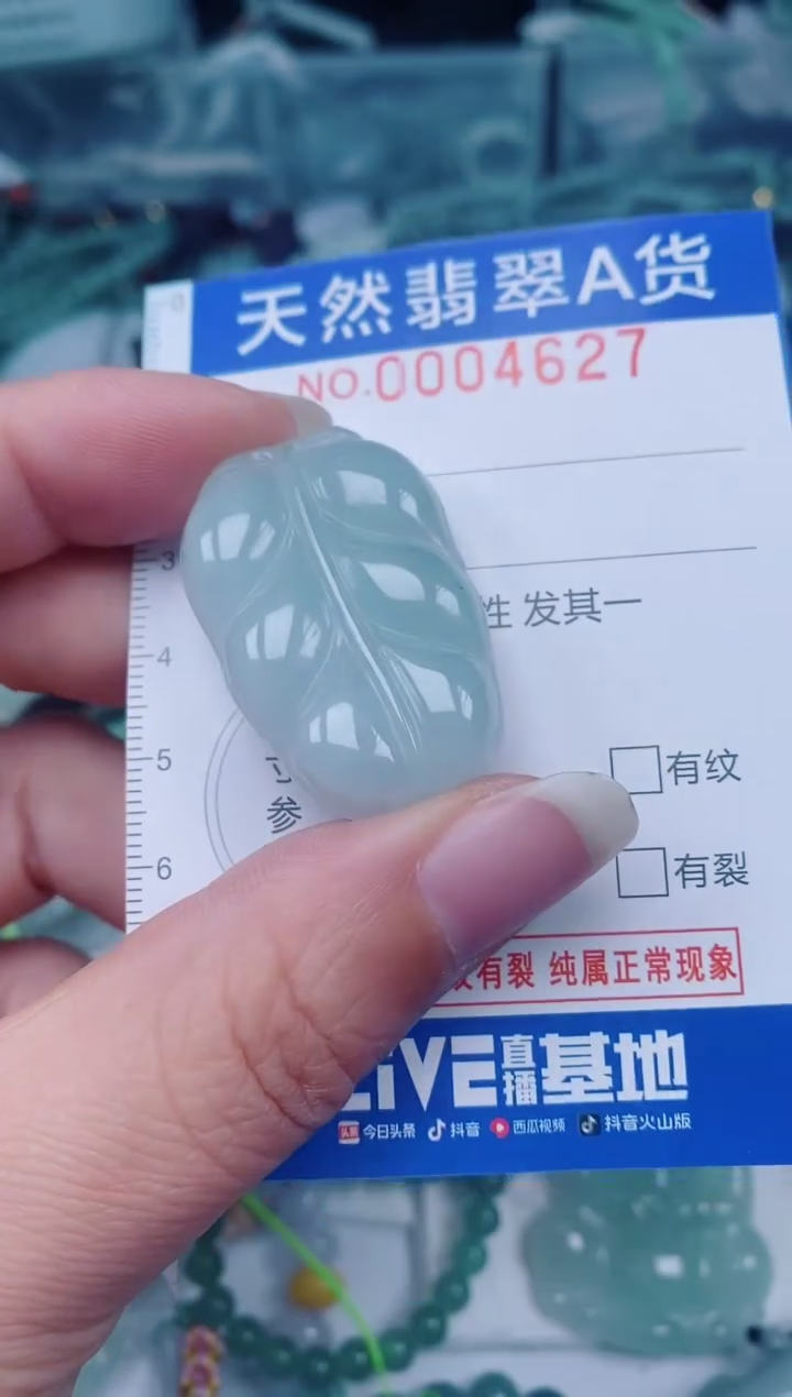 颈饰未镶嵌翡翠00004627