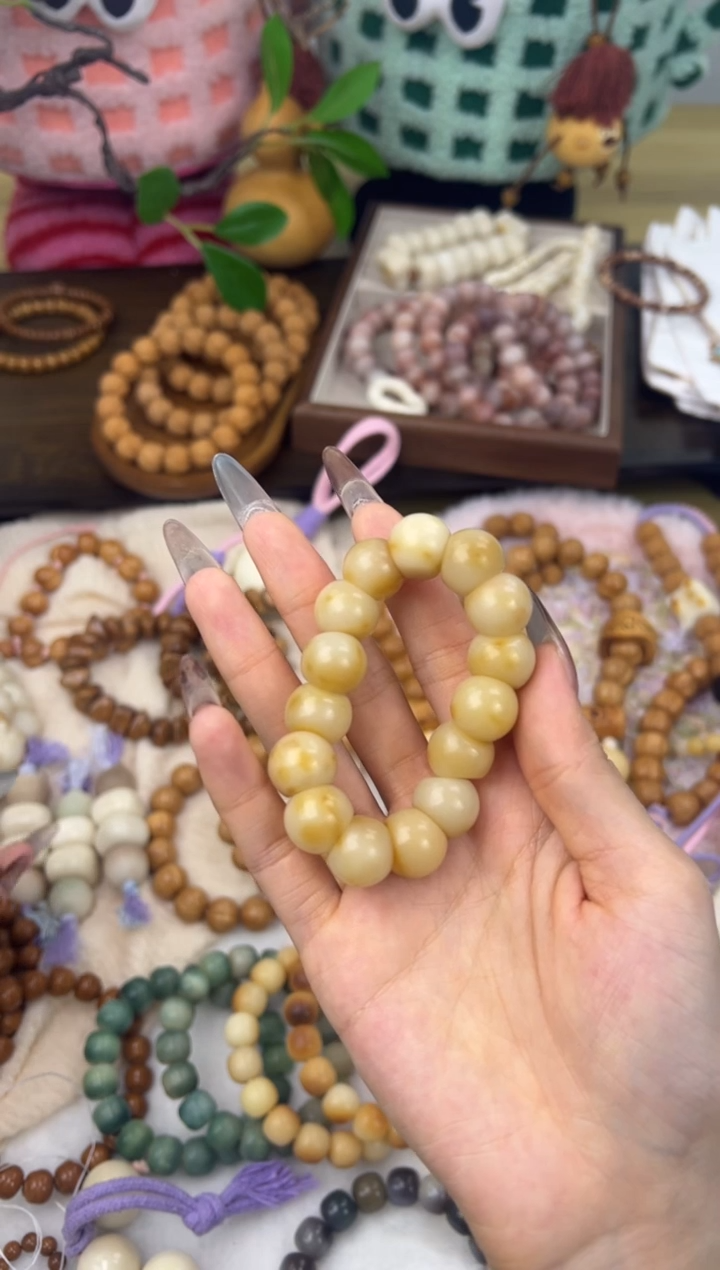 手串菩提根/象牙果Y*y790