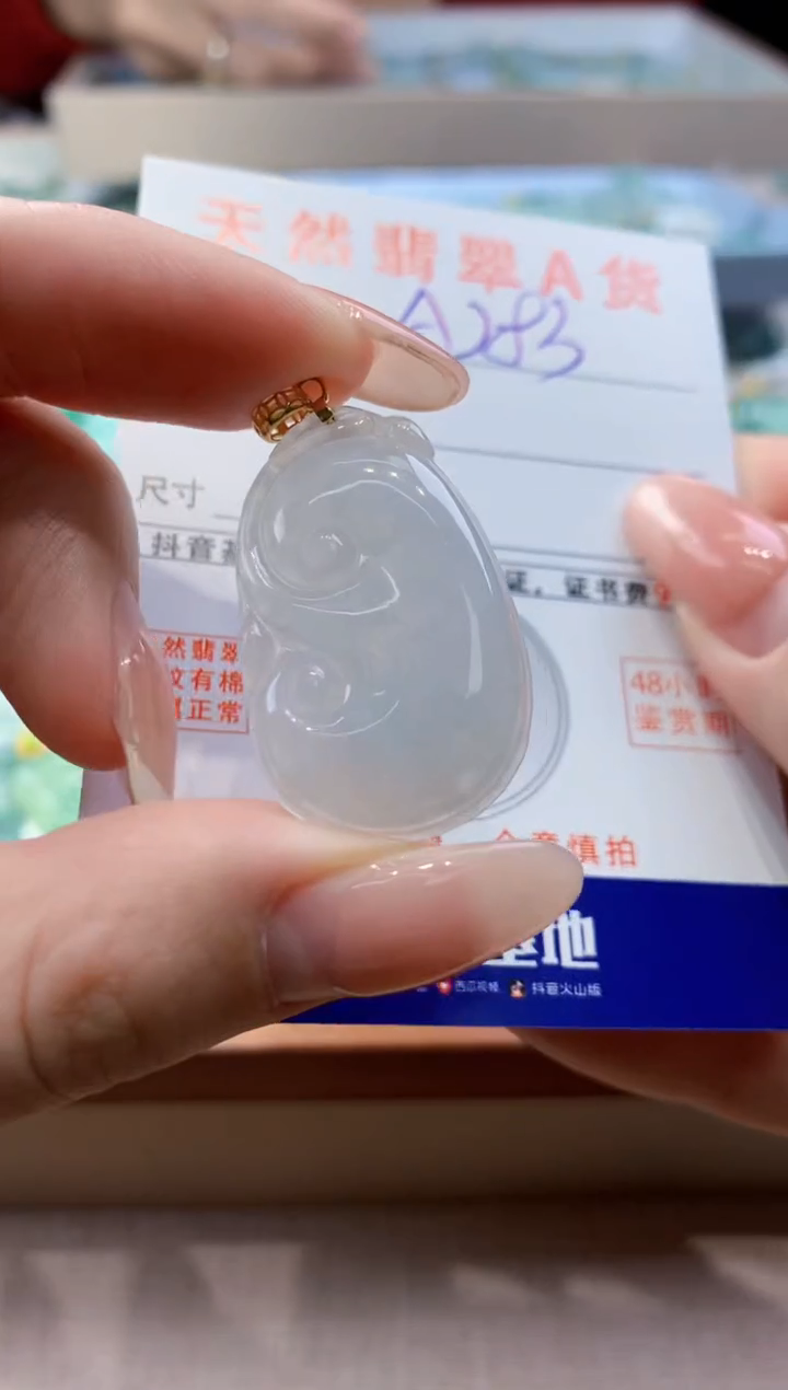 颈饰未镶嵌翡翠天然翡翠挂件  