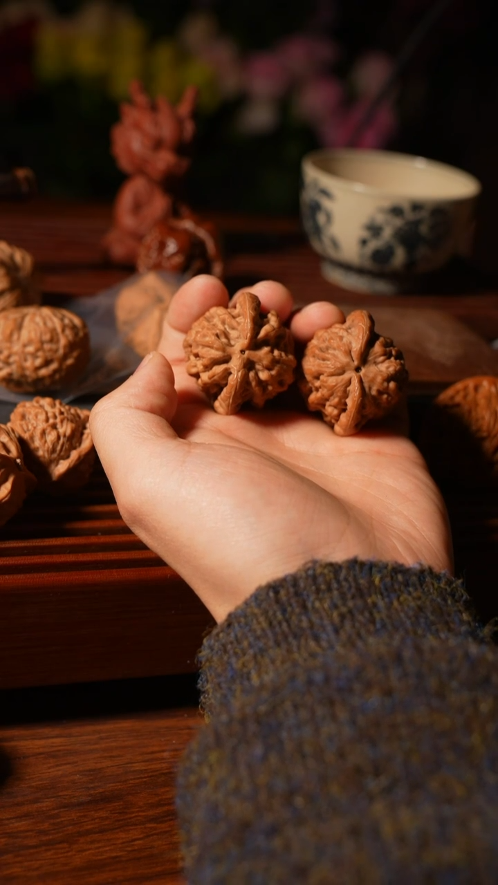 核桃金公子40，。。。。。。