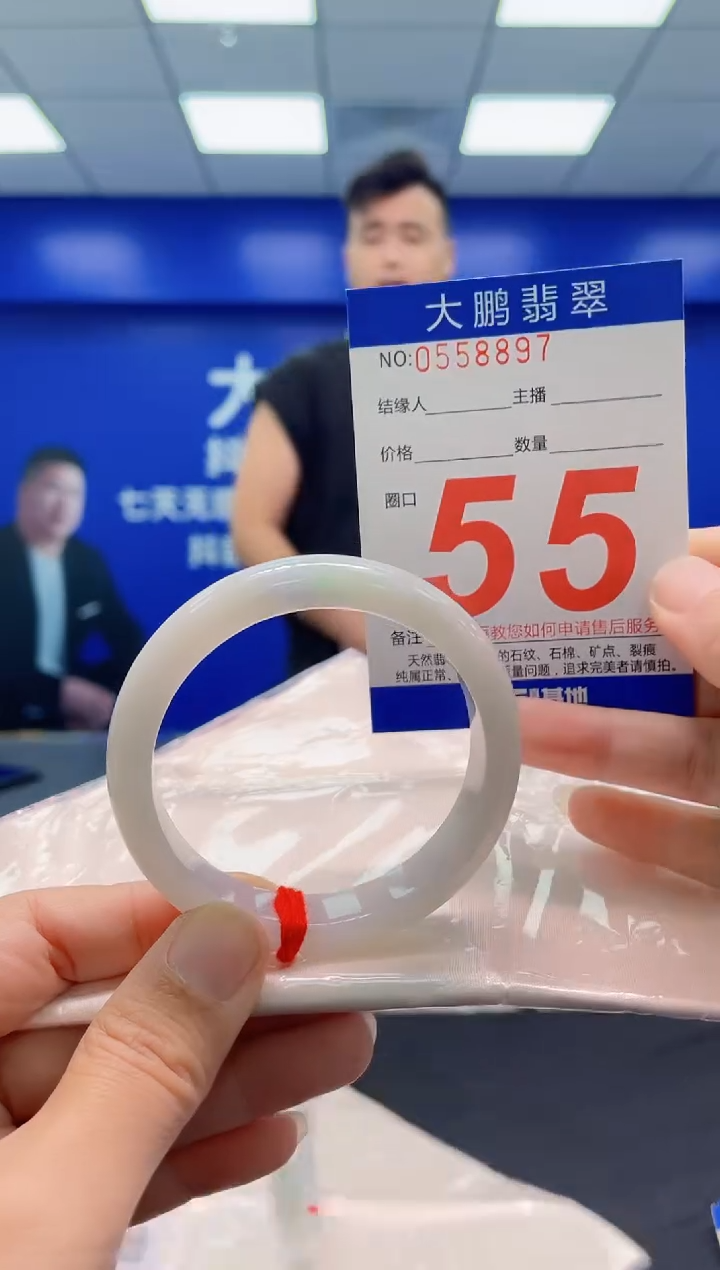 未镶嵌手镯翡翠AAAAAAAAA