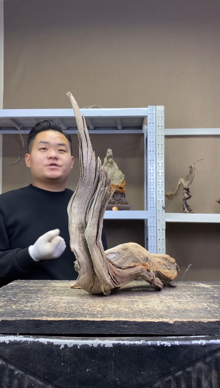 檬**爸胖胖崖柏精品摆件 檬橙爸爸