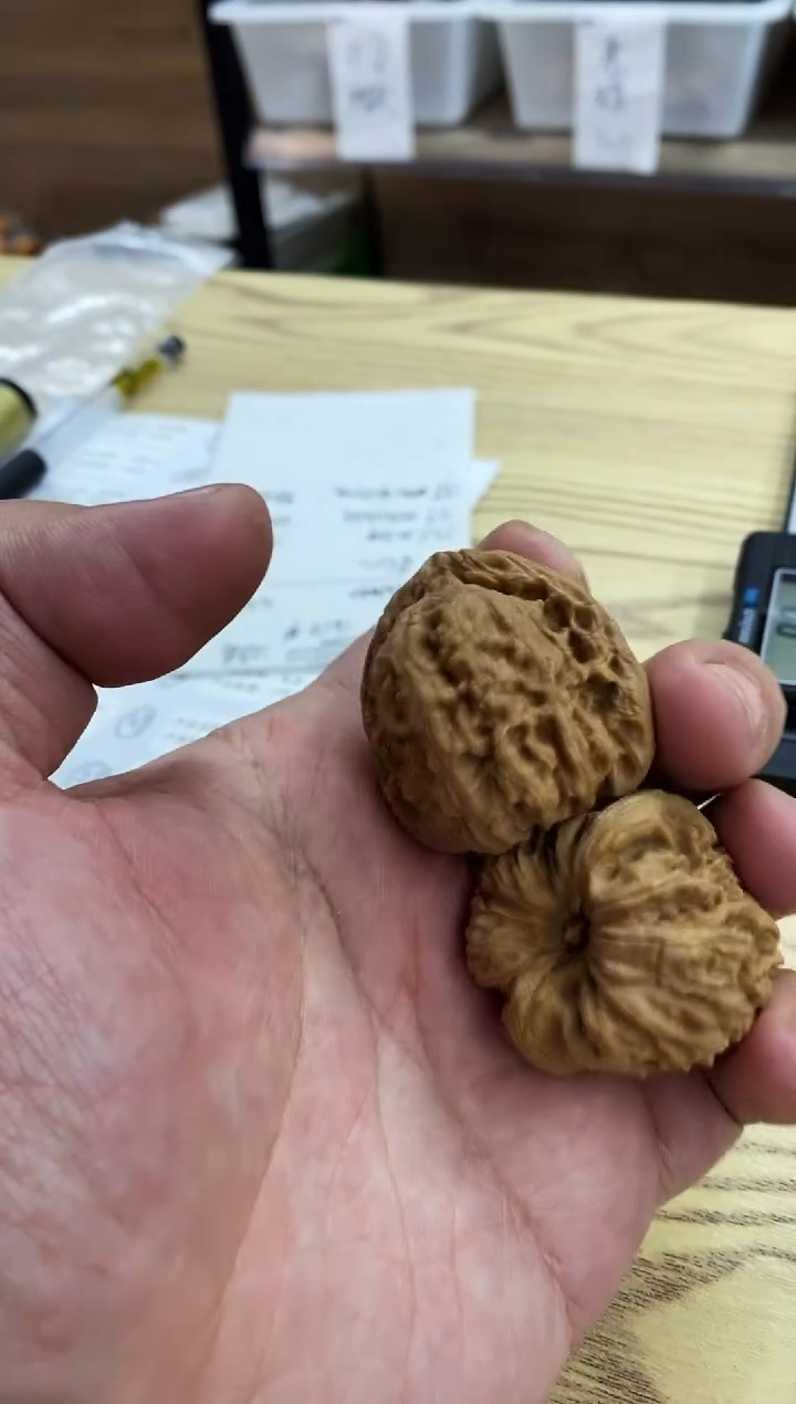 【1.9福利】南疆石